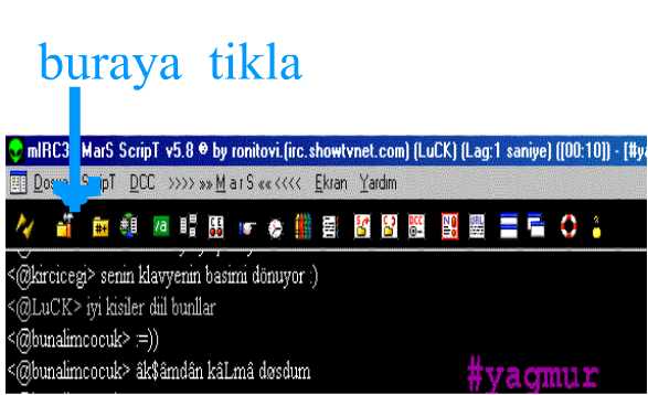 scence1.jpg (26926 bytes)