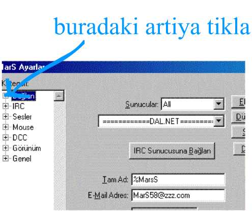 scence2.jpg (25734 bytes)
