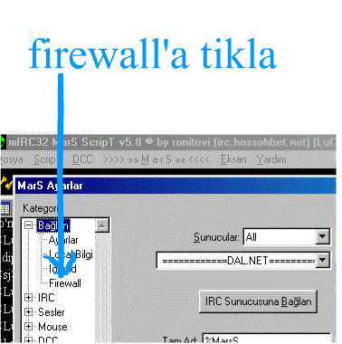 scence3.jpg (22229 bytes)