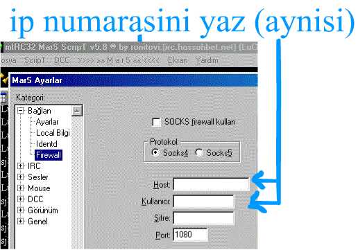 scence4.jpg (29699 bytes)