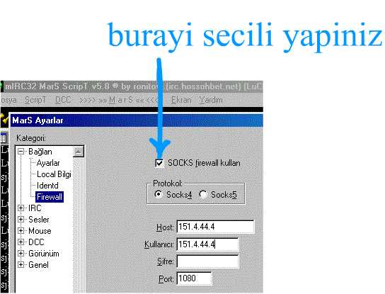 scence5.jpg (31547 bytes)