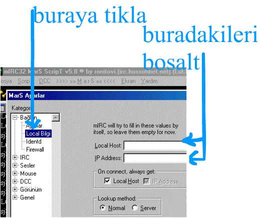 scence6.jpg (31074 bytes)
